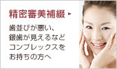精密審美補綴